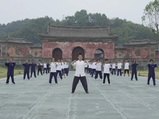 Tai Chi: A Systematic Approach to Training and Cultivating Body and Mind - TaichiSpirit