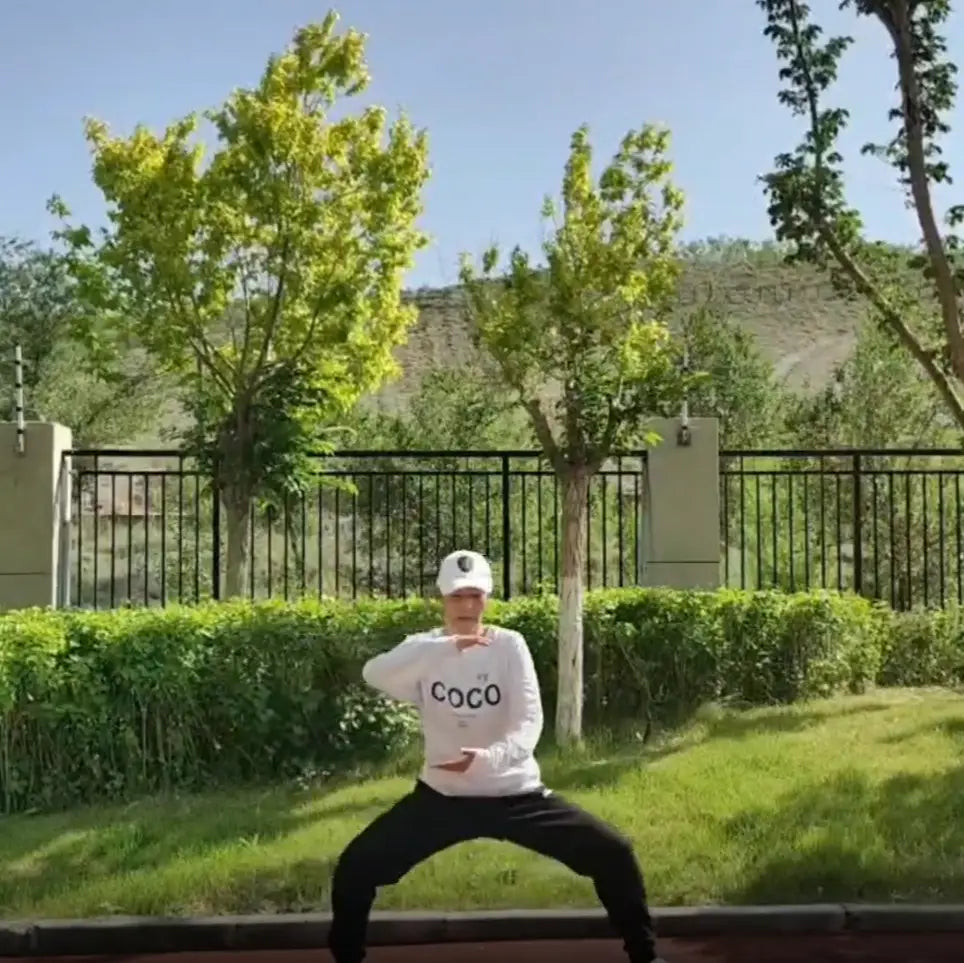 Tai Chi master's tranquil practice, representing harmony and well-being