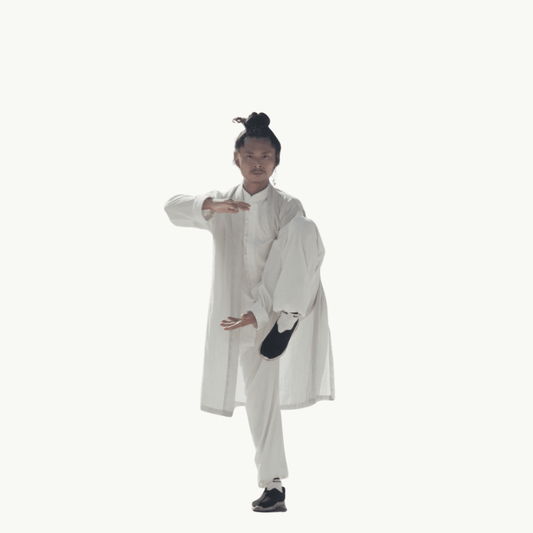 Wudang Taihequan demonstration - TaichiSpirit