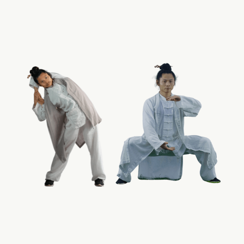 From Scratch: Wudang Tai Chi Fundamentals & Warm - Up Course Bundle - TaichiSpirit