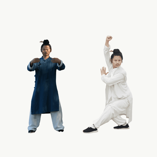 Advanced Tai Chi: Five Elements Health Qigong and Taihequan Combination - TaichiSpirit