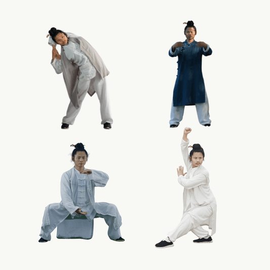 Wudang Tai Chi: The Complete Journey from Beginner to Master - TaichiSpirit