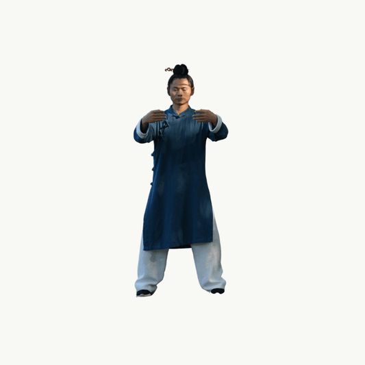 75 - Min Qigong Routine • Five Elements & Organ Health - TaichiSpirit