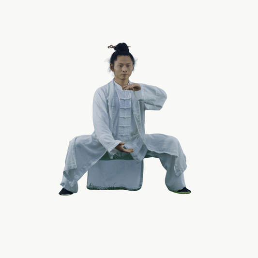 80 - Min Tai Chi Fundamentals • Wudang Core Practice - TaichiSpirit