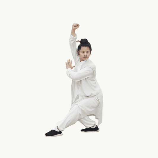 75 - Min Wudang Form • The Tai He Quan Essence - TaichiSpirit