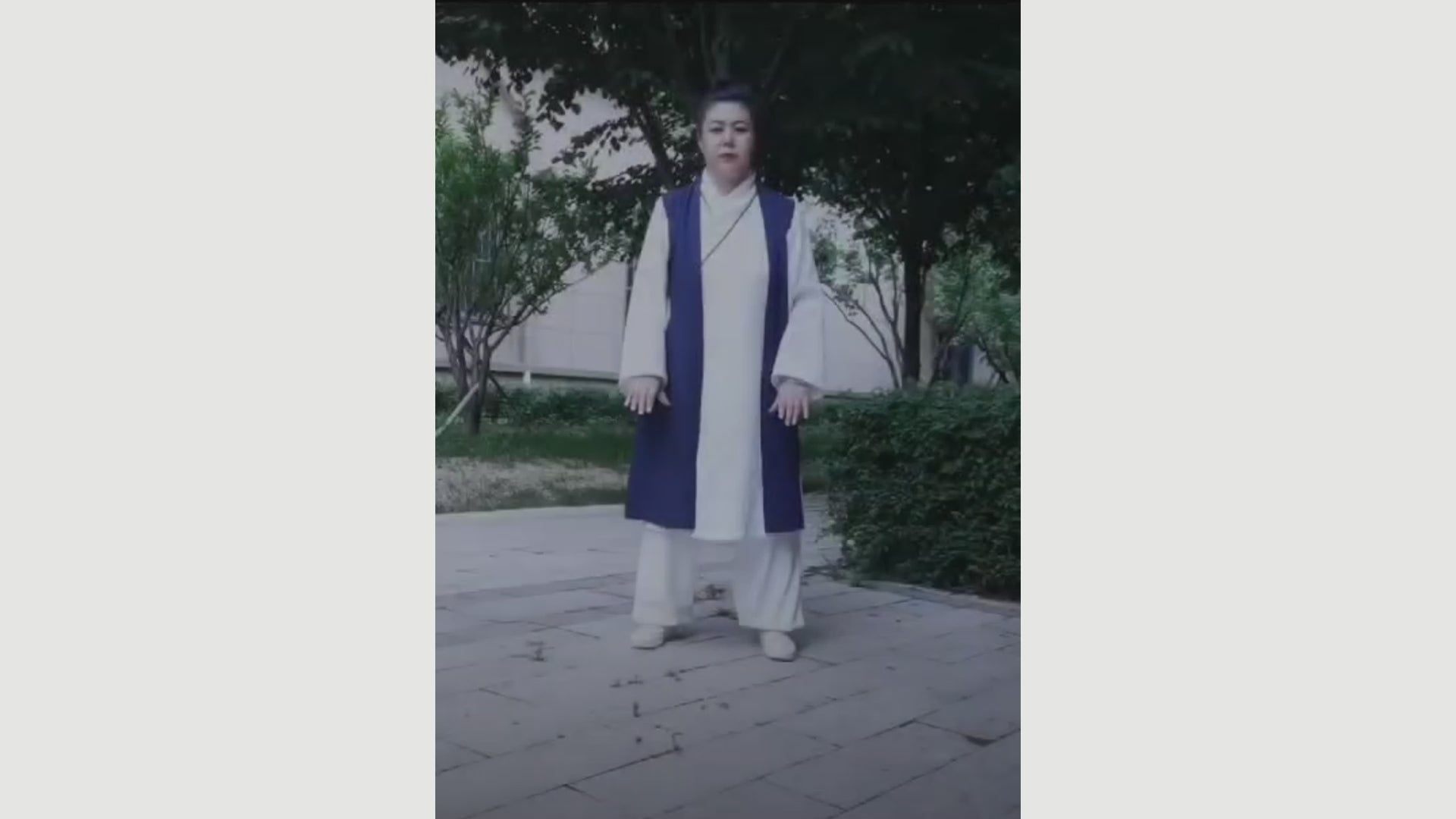 Load video: 